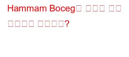 Hammam Boceg에 얼마나 많은 단백질이 있습니까?